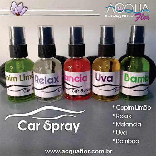 Car Spray em Santos